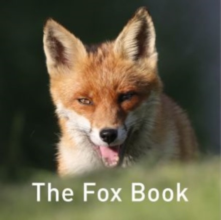 The Nature Book Series: The Fox Book