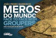 Meros do Mundo - Uma colecção de Retratos / Face to Face with Groupers - A Collection of Portraits