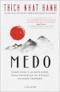 Medo: Como Usar o Mindfulness para Enfrentar os Nossos Maiores Temores