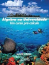 Álgebra Na Universidade Um Curso Pré-Cálculo