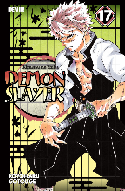 Demon Slayer 17