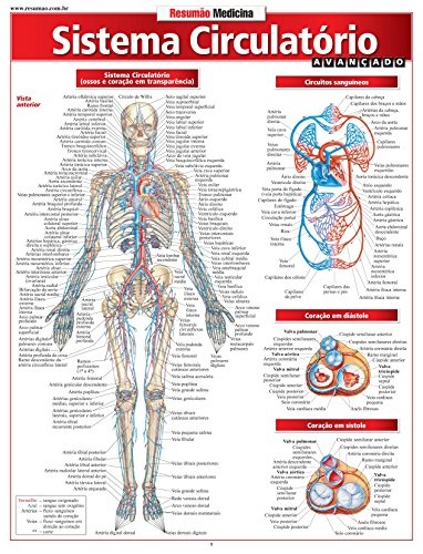 Sistema Circulatório: Avançado