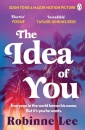 The Idea of You