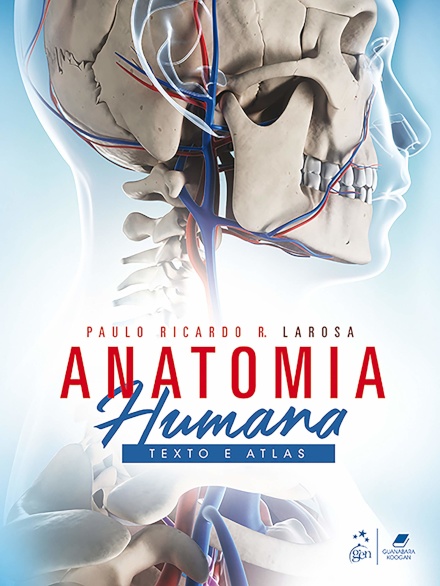 Anatomia Humana Texto E Atlas