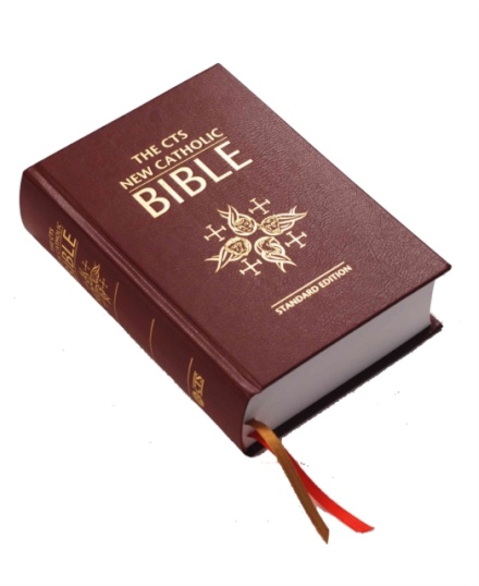 New Catholic Bible : Standard Edition