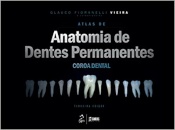 Atlas De Anatomia De Dentes Permanentes Coroa Dental