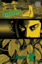 Vagabond, Vol.3