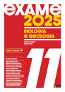 Exame 2025 BG 11.º ano