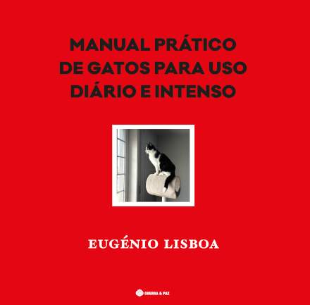 Manual Prático De Gatos Para Uso Diário E Intenso