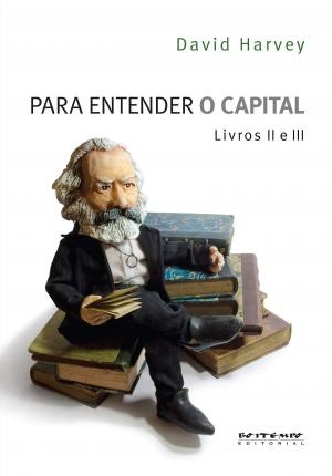 Para Entender O Capital, Livros 2 E 3