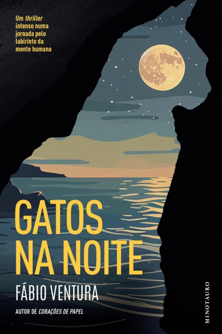 Gatos Na Noite