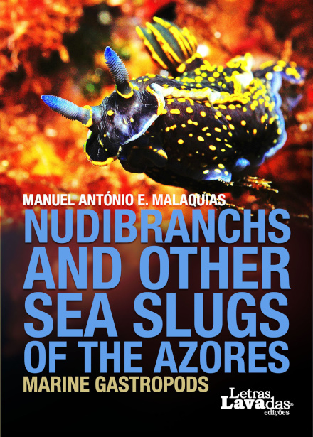 Nudibranchs and Other Sea Slugs of the Azores