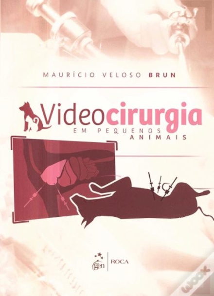 Videocirurgia Em Pequenos Animais