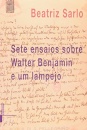 Sete Ensaios Sobre Walter Benjamin E Um Lampejo