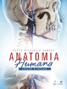 Anatomia Humana Texto E Atlas