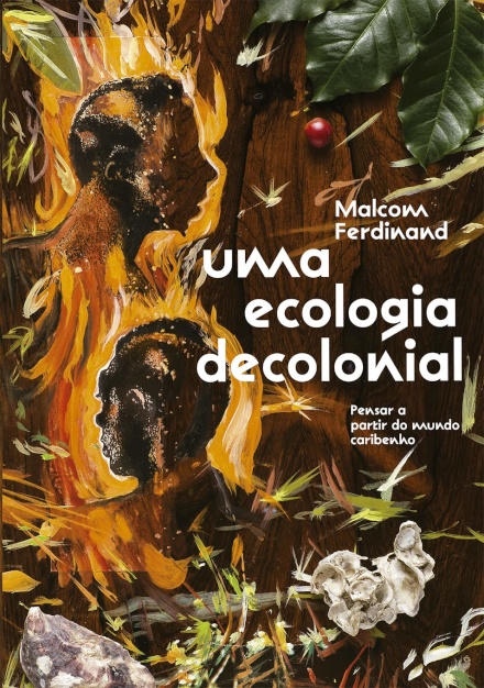 Uma Ecologia Decolonial