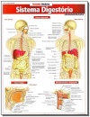 Sistema Digestório Avançado