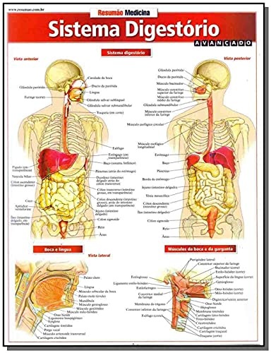 Sistema Digestório Avançado