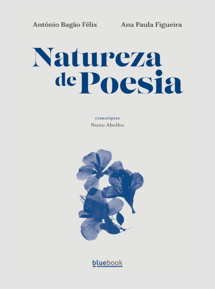 Natureza de Poesia