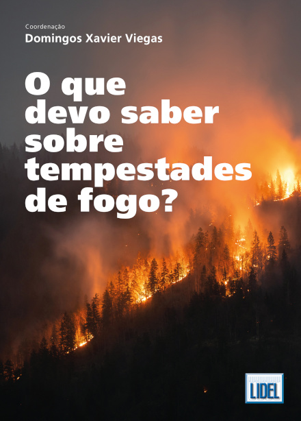 O Que Devo Saber sobre Tempestades de Fogo?