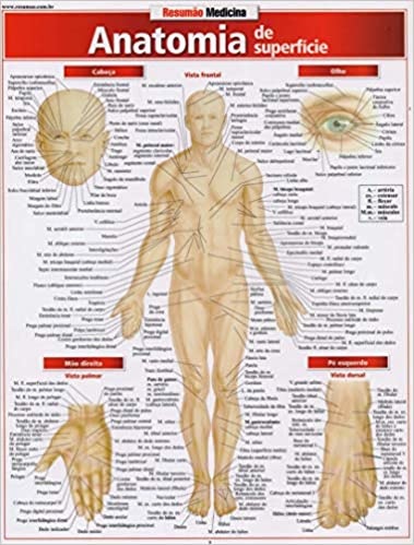 Anatomia De Superfície