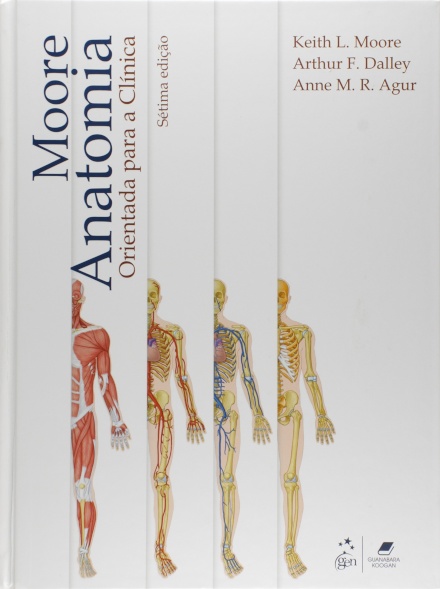 Anatomia Orientada Para A Clínica