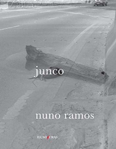 Junco