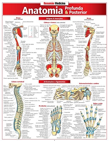 Anatomia Profunda E Posterior