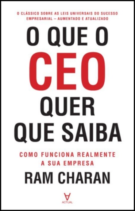 O que o CEO quer que saiba - Como funciona realmente a sua empresa