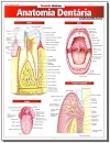 Anatomia Dentária: Avançada