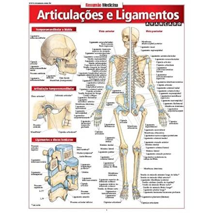 Articulações E Ligamentos: Avançado