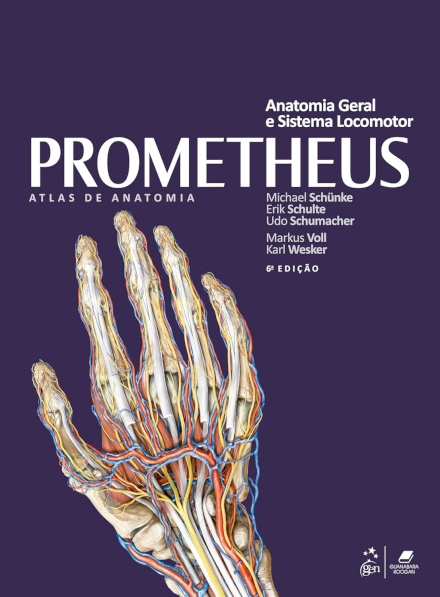 Prometheus Atlas De Anatomia 3 Vols