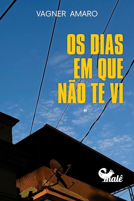 Os Dias Em Que Não Te Vi