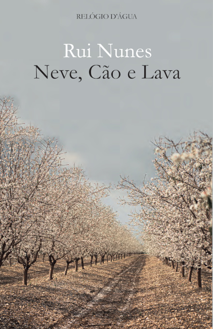 Neve, Cão E Lava