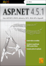 Asp.Net 4.5.1